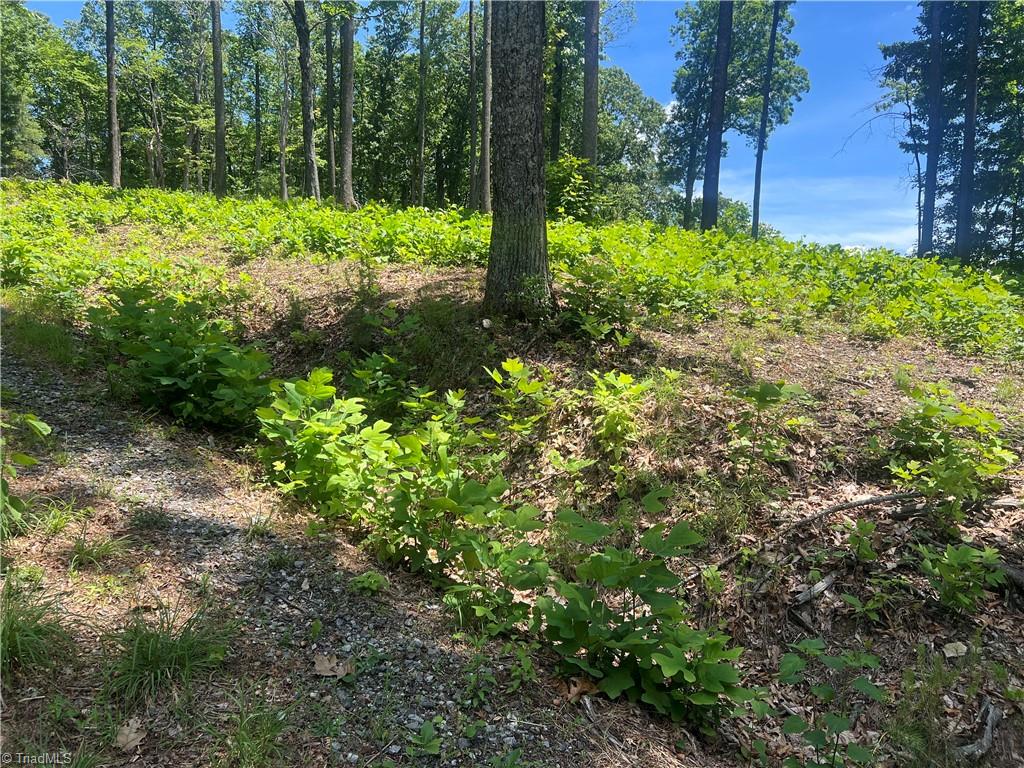 Tbd Wilderness Road Property Photo 6