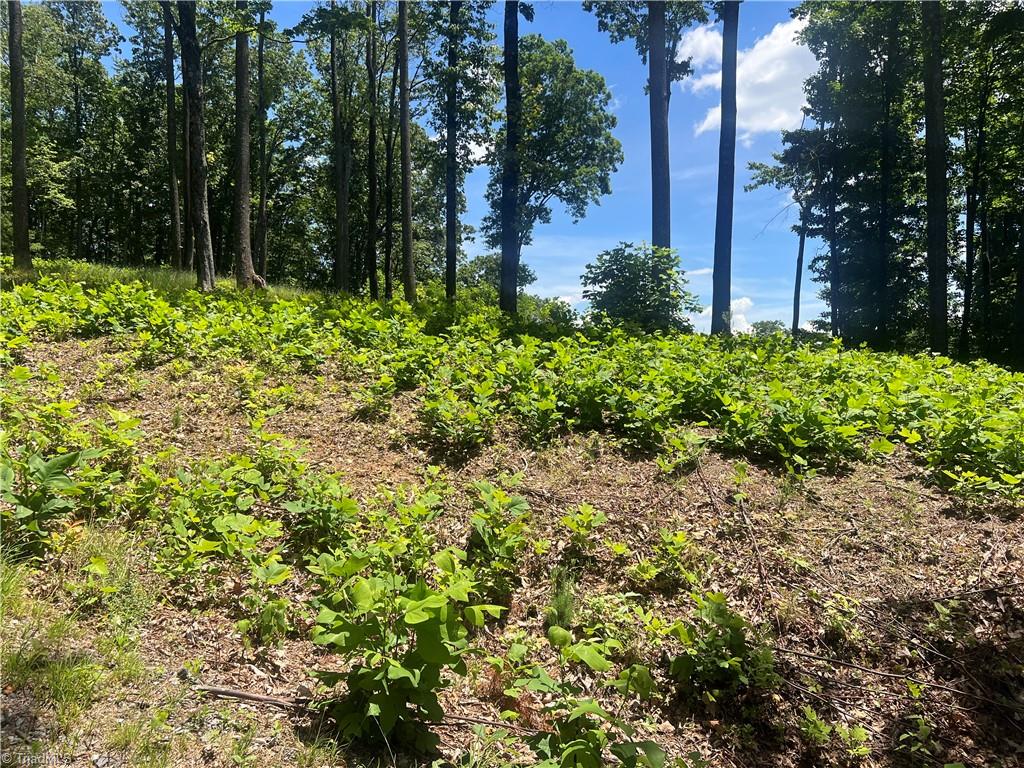 Tbd Wilderness Road Property Photo 8