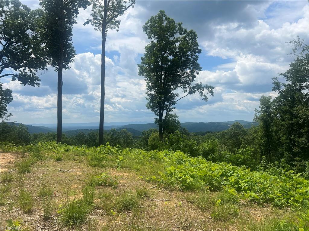 Tbd Wilderness Road Property Photo 9