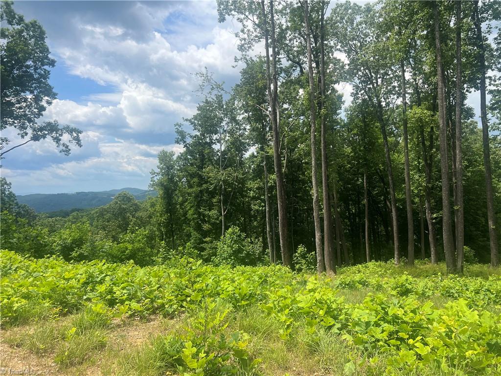 Tbd Wilderness Road Property Photo 10