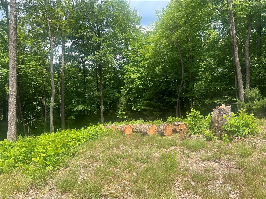 Tbd Wilderness Road Property Photo 11