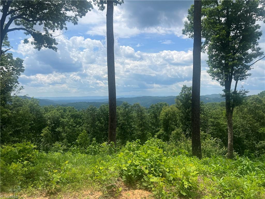 Tbd Wilderness Road Property Photo 12