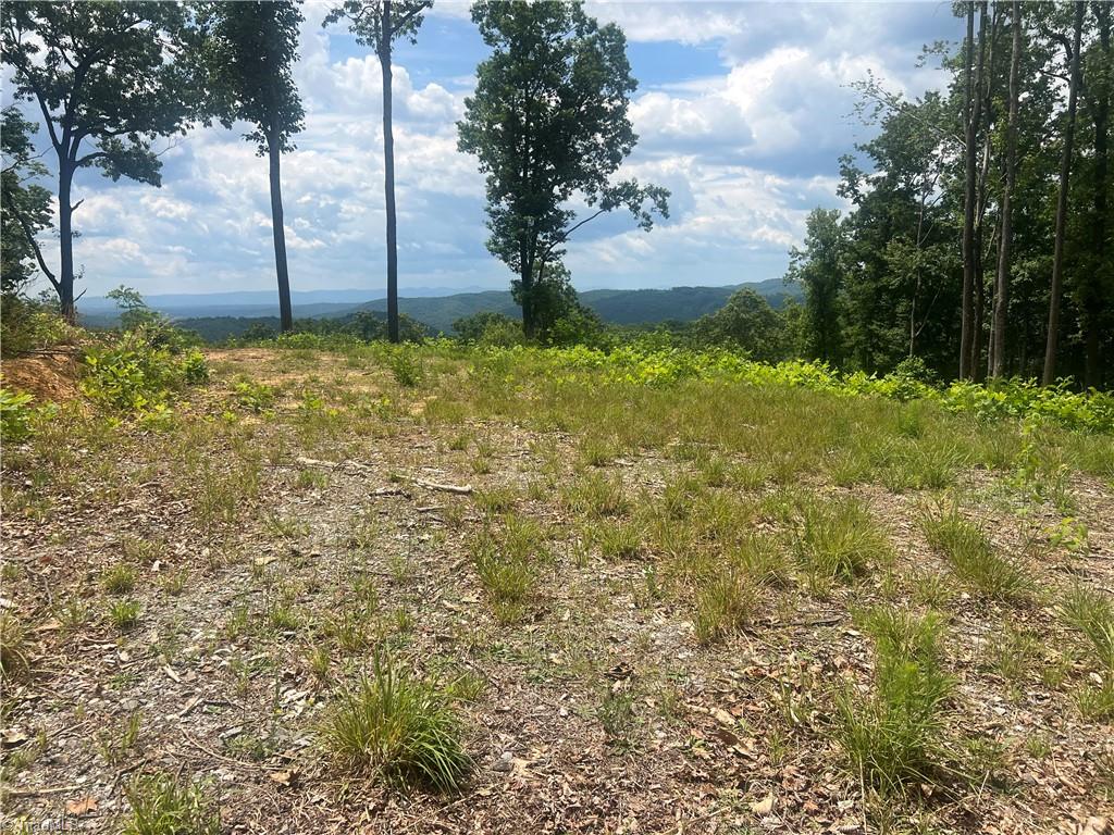 Tbd Wilderness Road Property Photo 13