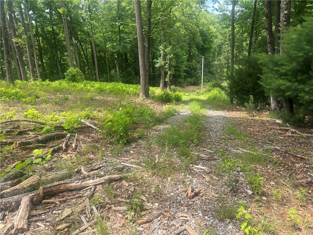Tbd Wilderness Road Property Photo 14