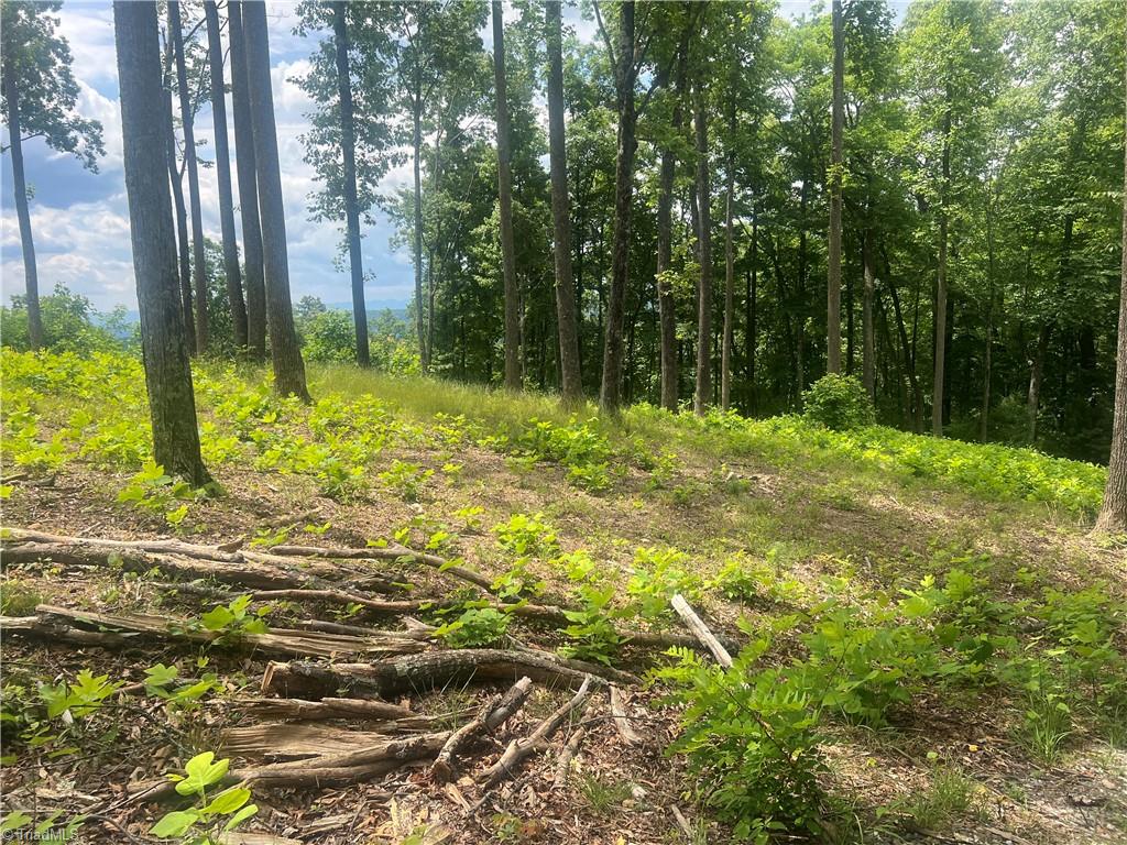 Tbd Wilderness Road Property Photo 15