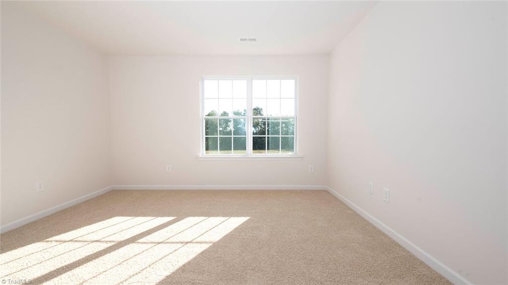 1617 Komondor Trail Property Photo 9
