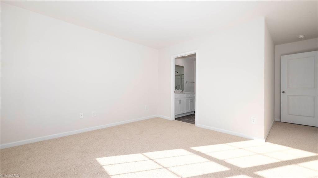 1617 Komondor Trail Property Photo 12