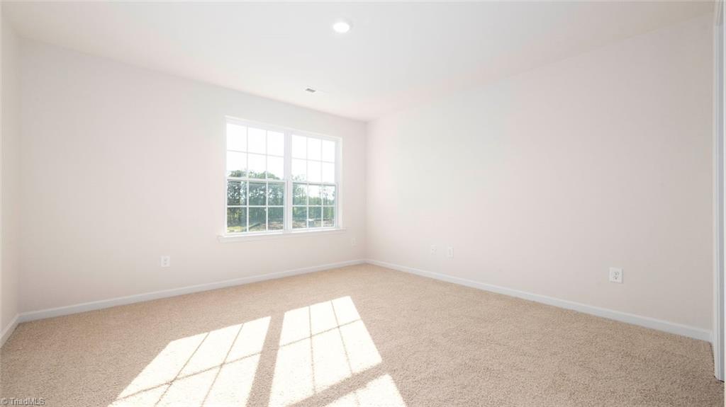 1617 Komondor Trail Property Photo 14