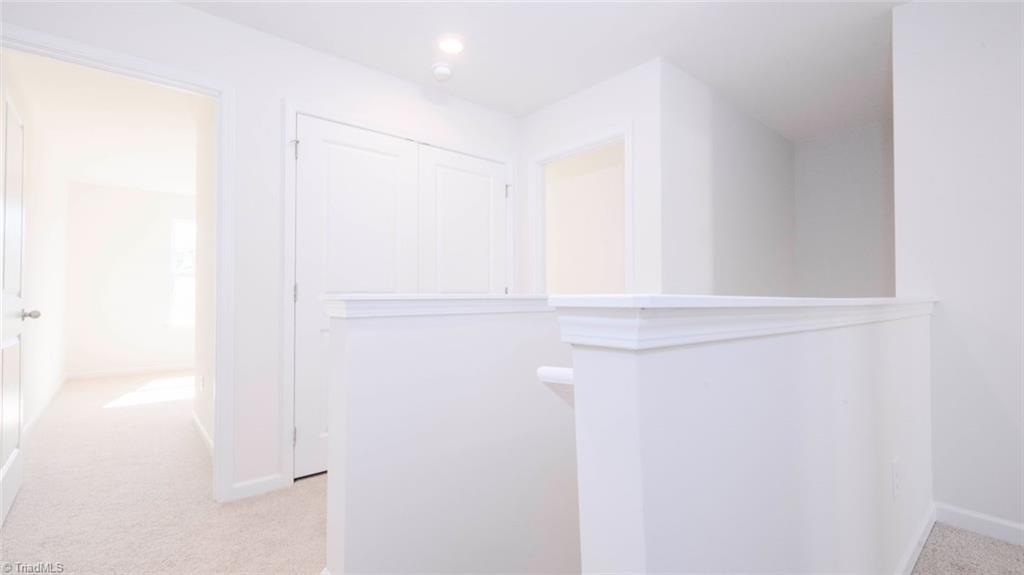 1617 Komondor Trail Property Photo 27