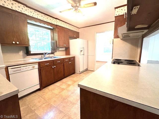 268 Magnolia Avenue Property Photo 23