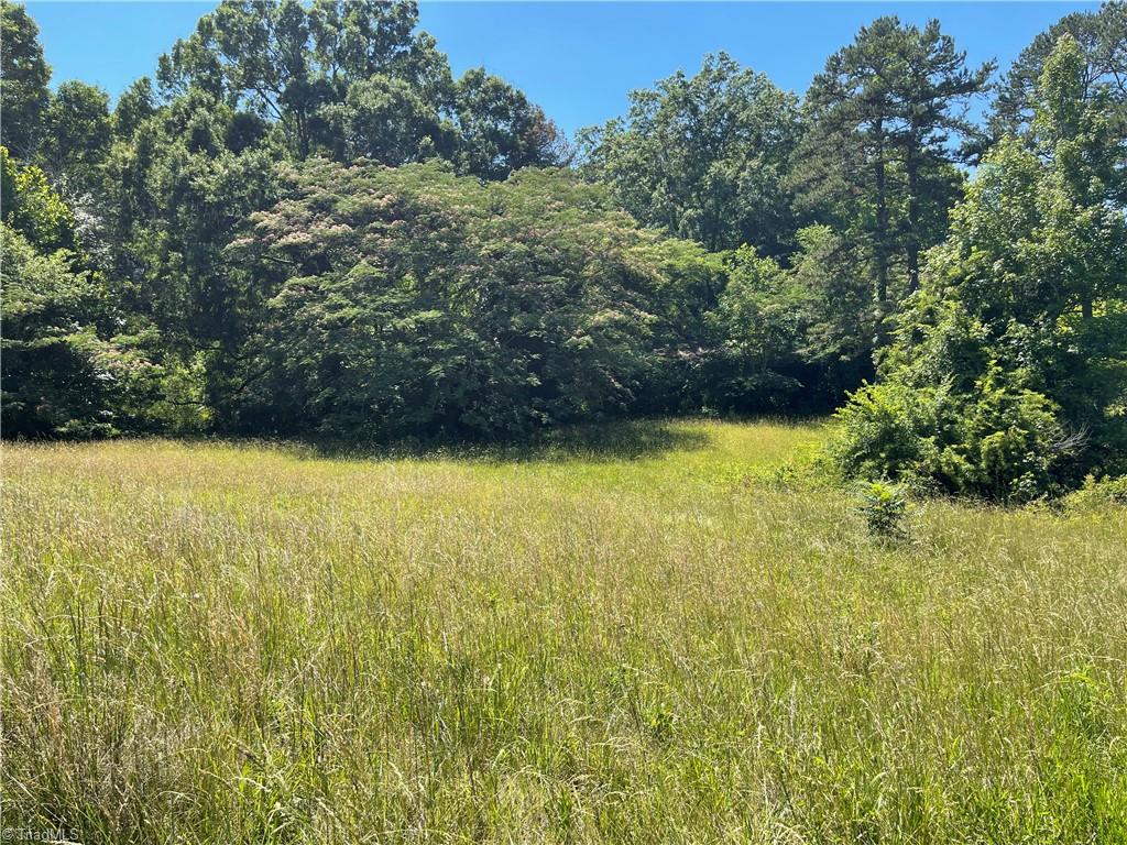 1310 WHITE Street Property Photo 1