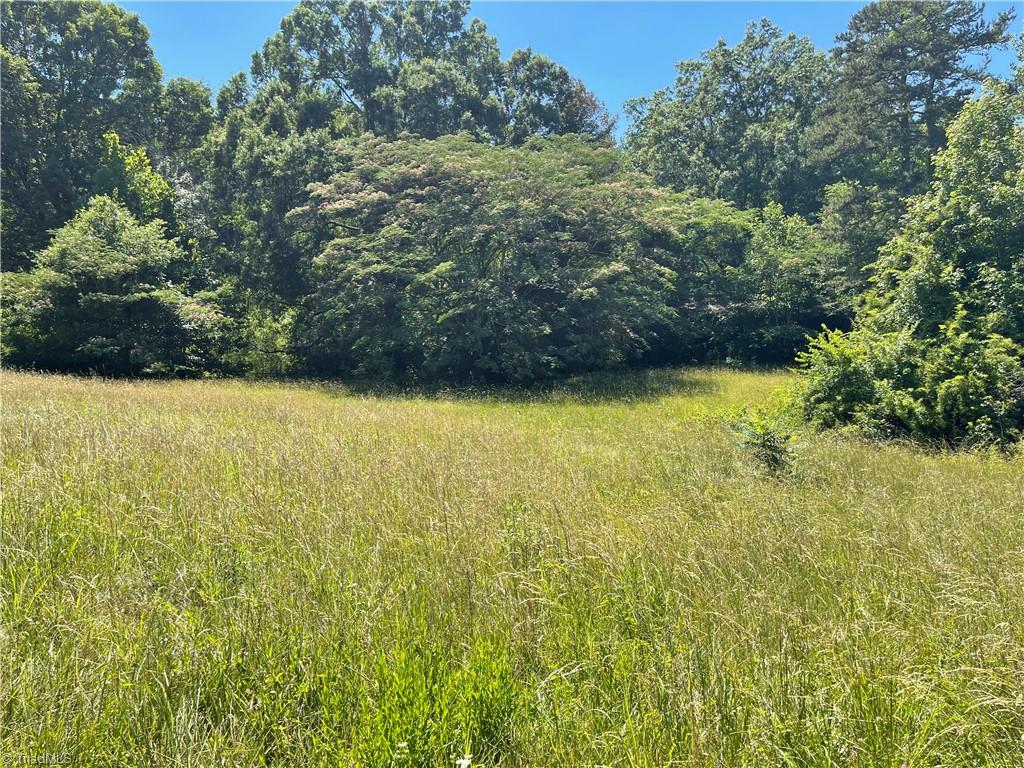 1310 White Street Property Photo 2