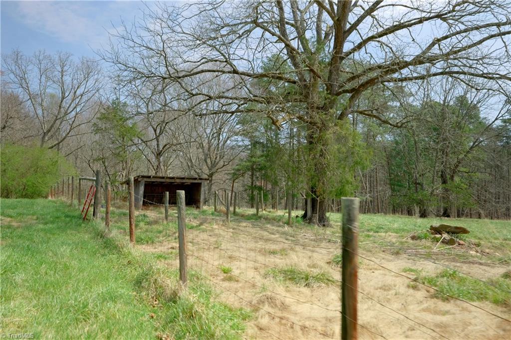 1019 George Road Property Photo 13