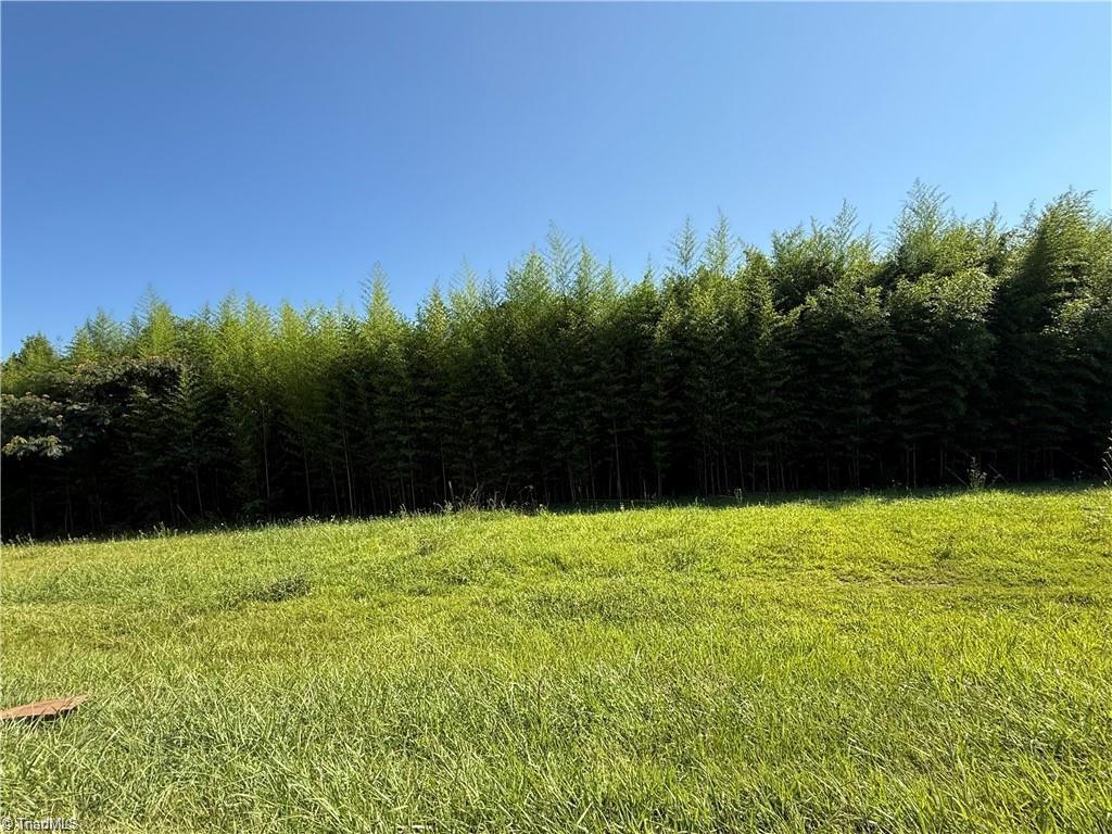 00 Us Highway 311 Property Photo 1