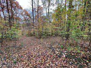 0 Aladdin Road Property Photo 2