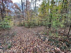 0 Aladdin Road Property Photo 4