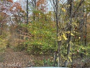 0 Aladdin Road Property Photo 13