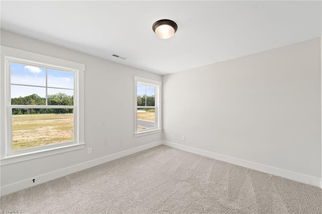 602 Slaney Woods Lane Property Photo 41