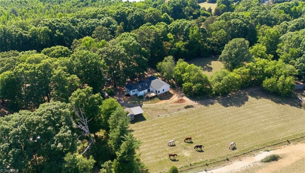 9030 Nc Highway 22 Property Photo 3