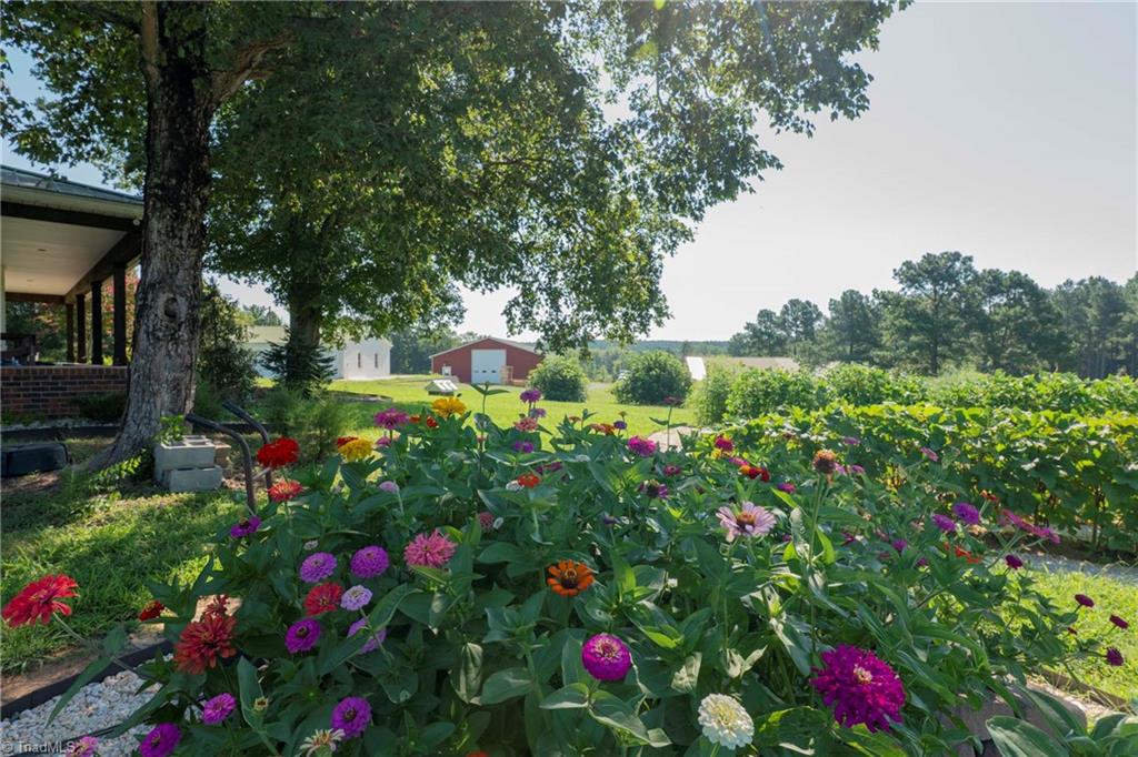 3175 Trotter Road Property Photo 13