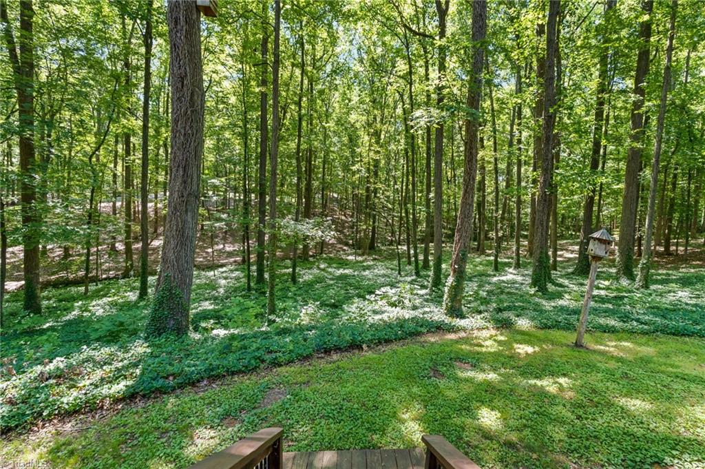 160 Prospectors Trail Property Photo 42