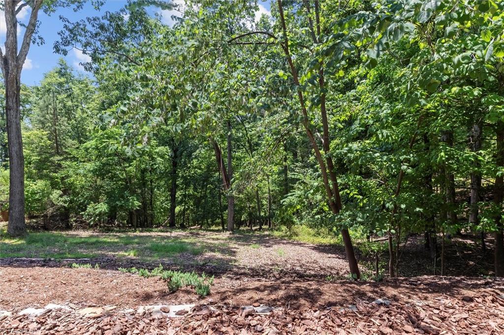 172 Lawson's Lookout Property Photo 43