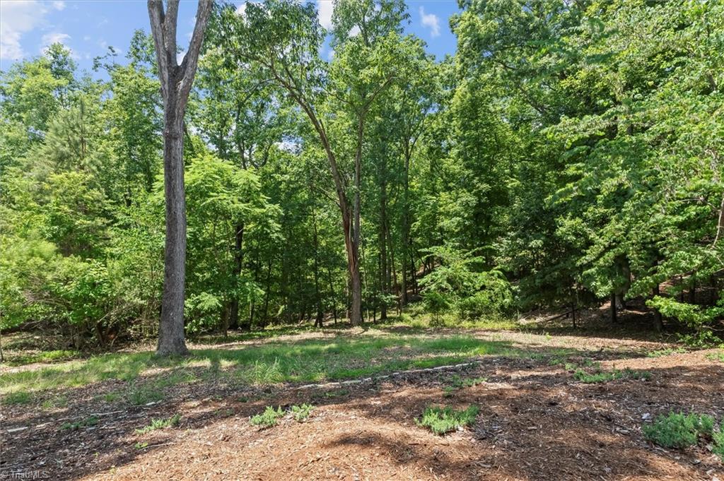 172 Lawson's Lookout Property Photo 44