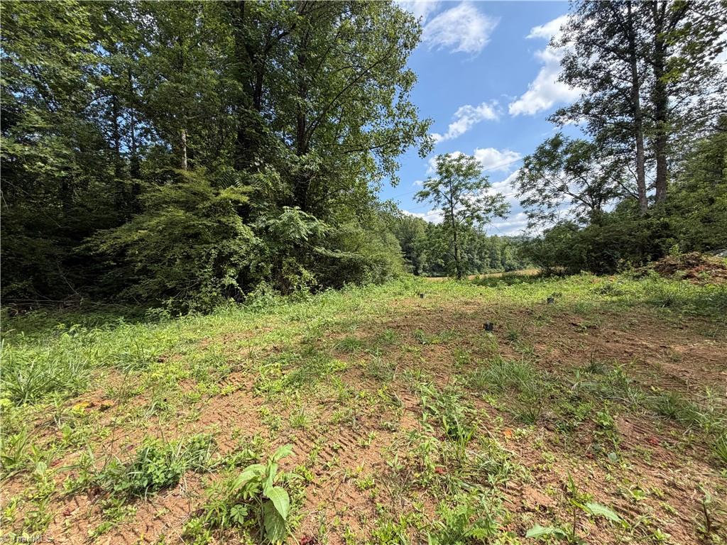 2888 Craig Hollow Lane Property Photo 4