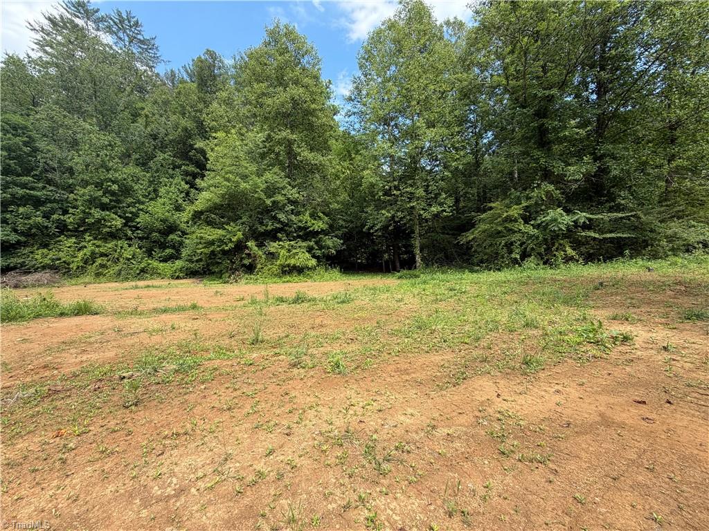 2888 Craig Hollow Lane Property Photo 5