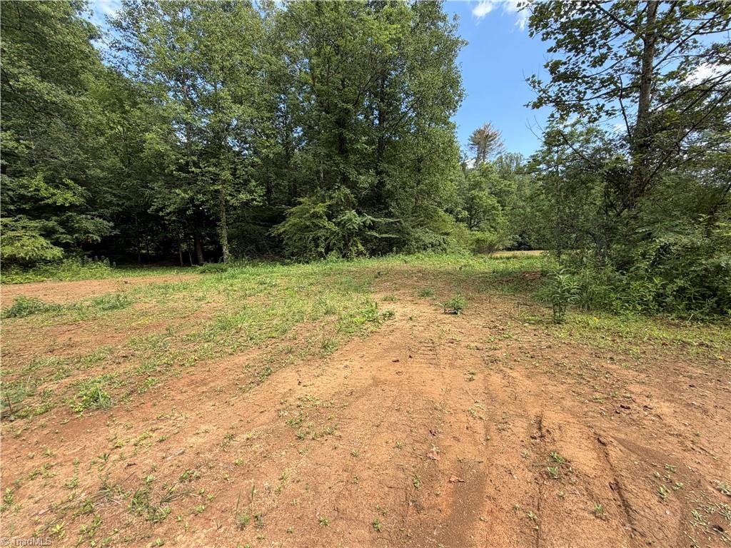 2888 Craig Hollow Lane Property Photo 6