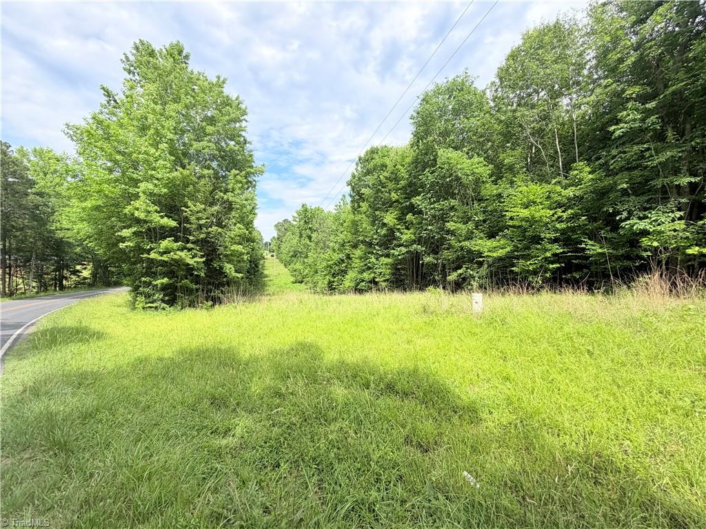 Tbd Tract A Bellview Road Property Photo 4
