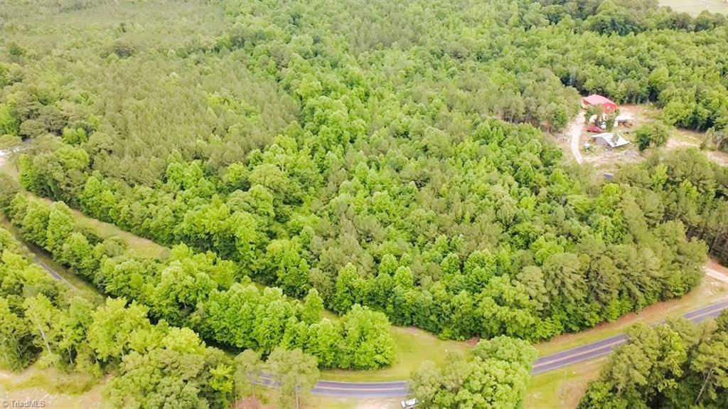 Tbd Tract A Bellview Road Property Photo 6