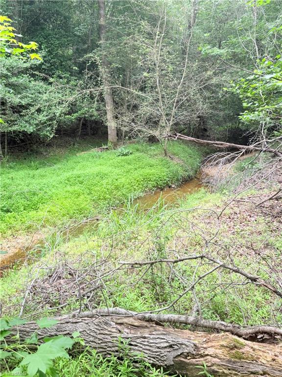 Tbd Tract A Bellview Road Property Photo 7