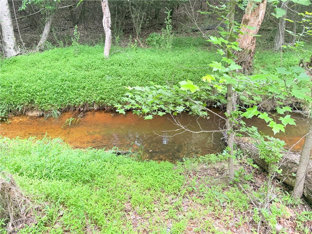 Tbd Tract A Bellview Road Property Photo 8