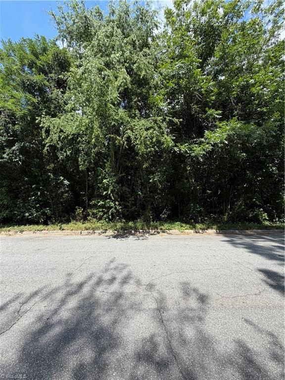 1007 Beaumont Avenue Property Photo 5