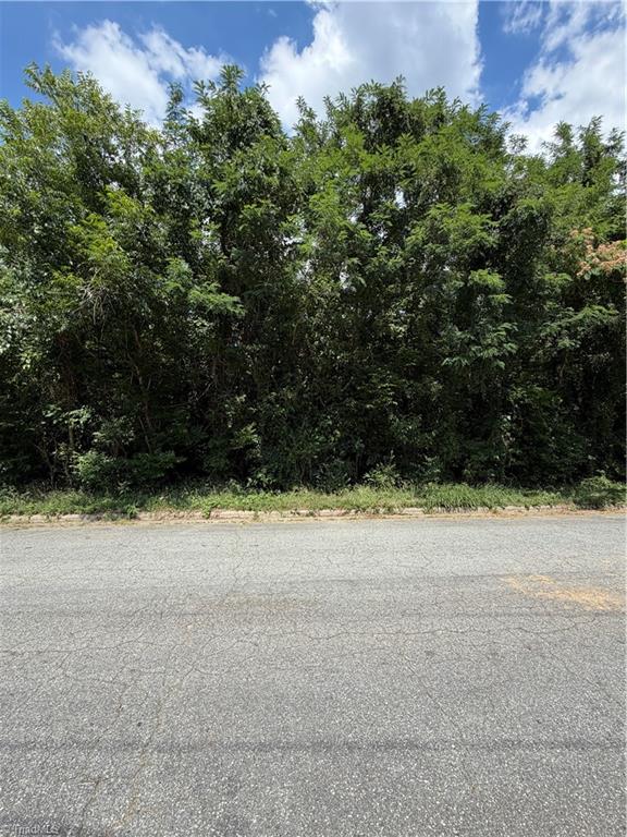 1007 Beaumont Avenue Property Photo 6