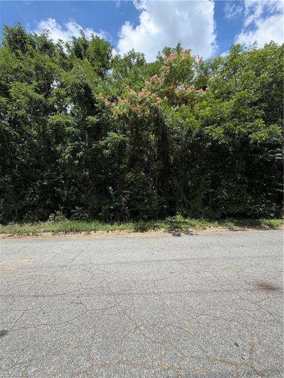 1007 Beaumont Avenue Property Photo 7