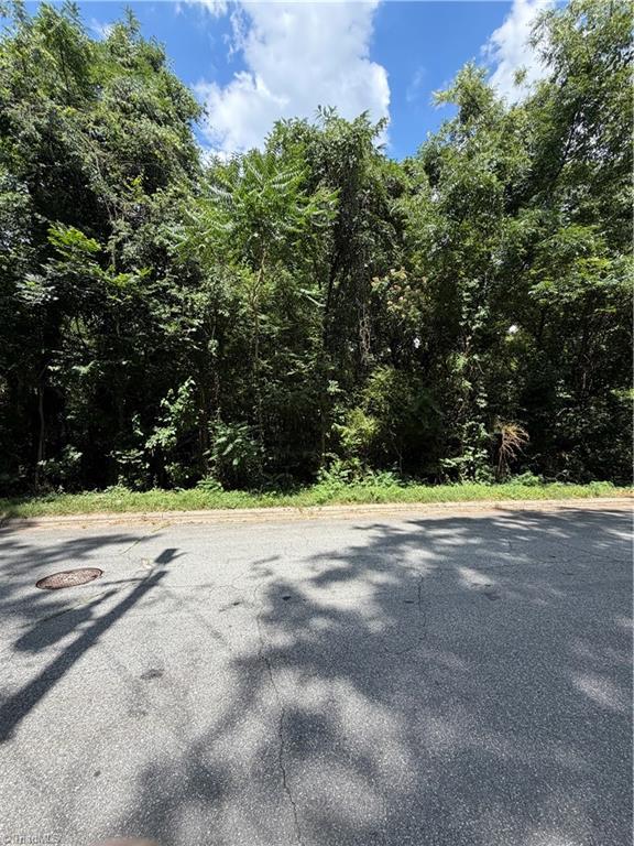1007 Beaumont Avenue Property Photo 9