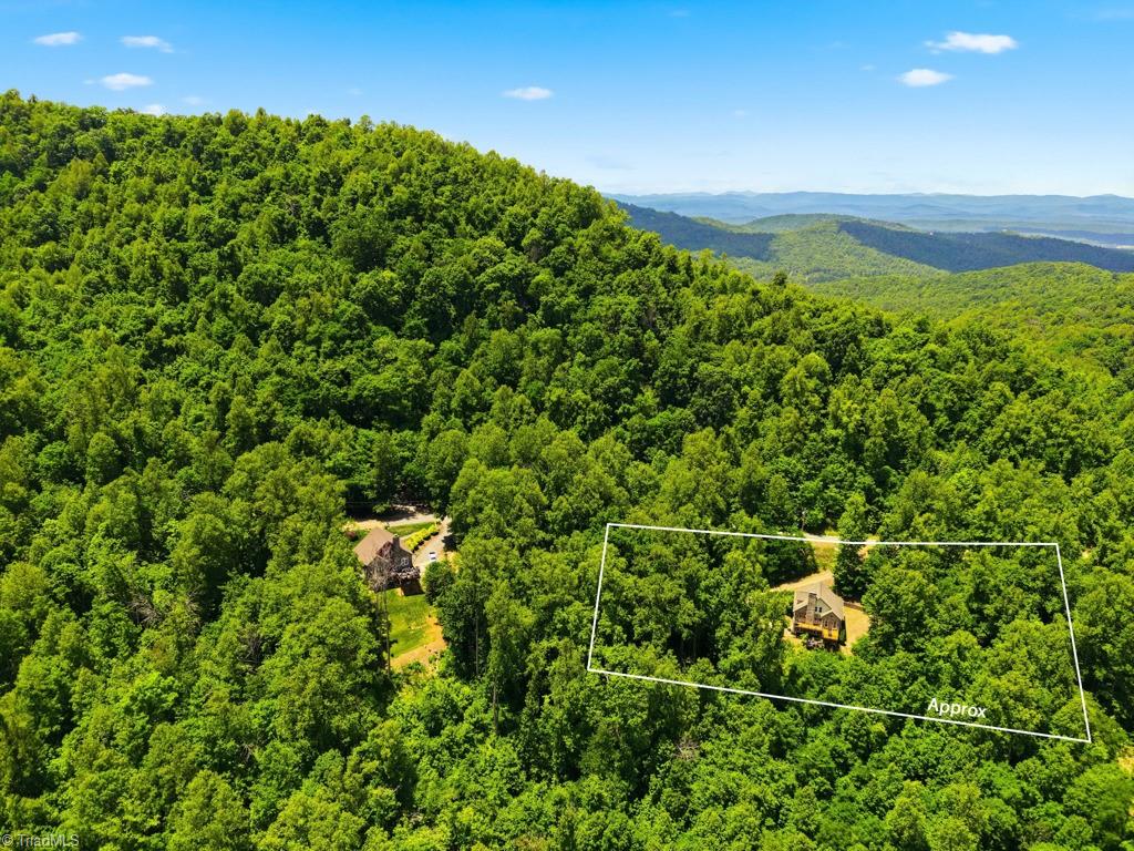 255 Treadway Ridge Road Property Photo 48