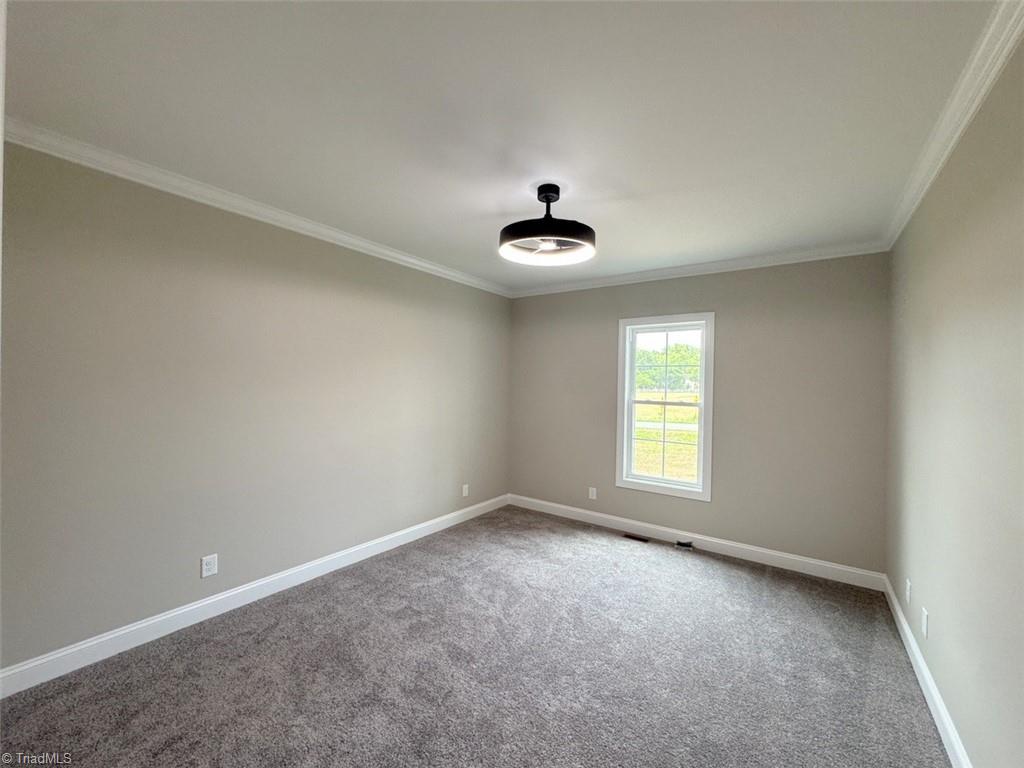 2916 Gibsonville Ossipee Road Property Photo 18