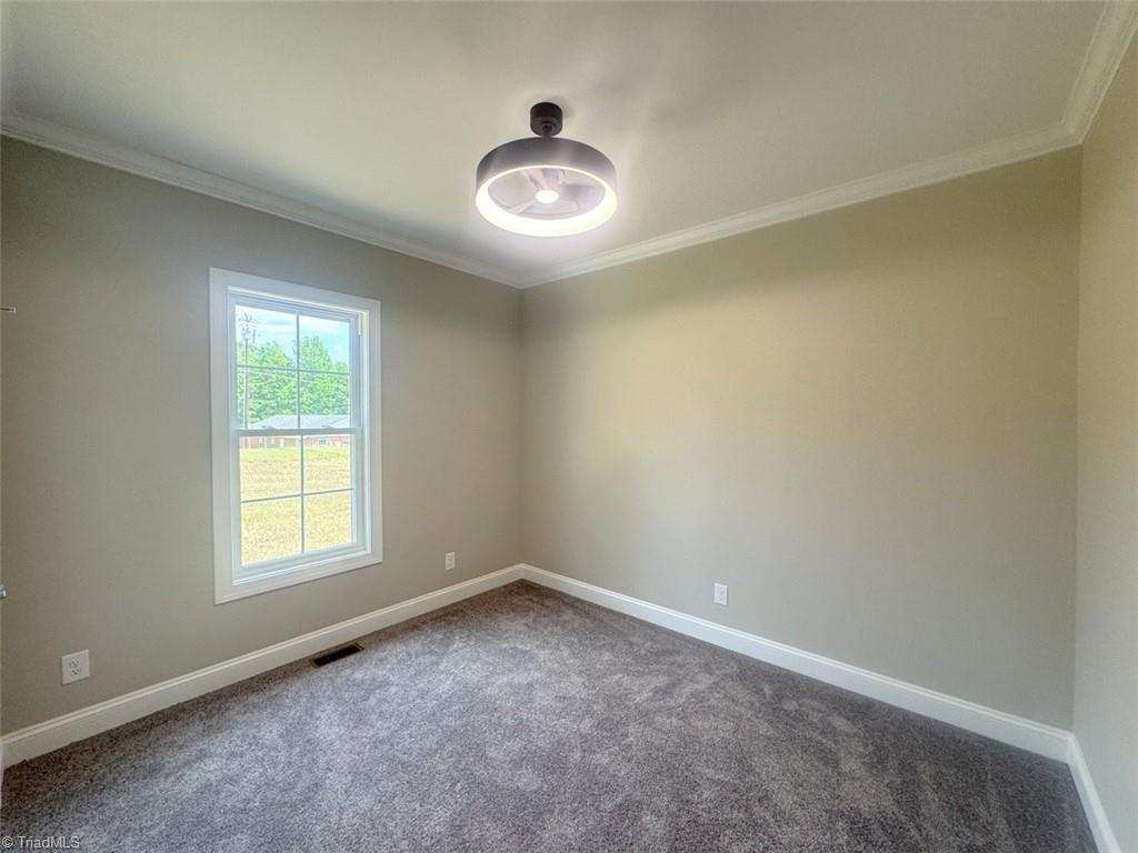 2916 Gibsonville Ossipee Road Property Photo 19