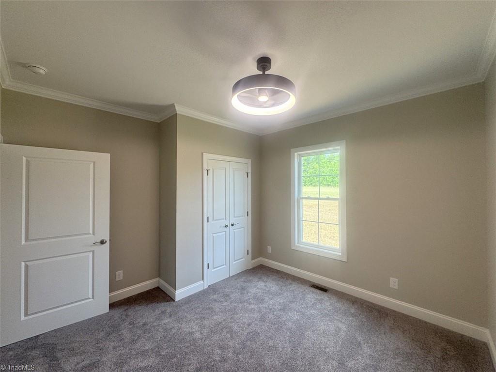 2916 Gibsonville Ossipee Road Property Photo 20