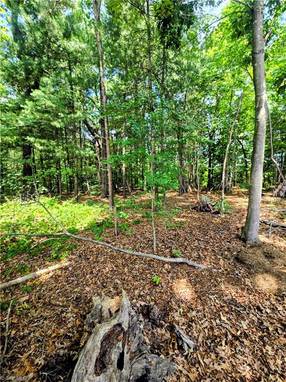 171 Idlewild Drive Property Photo 26