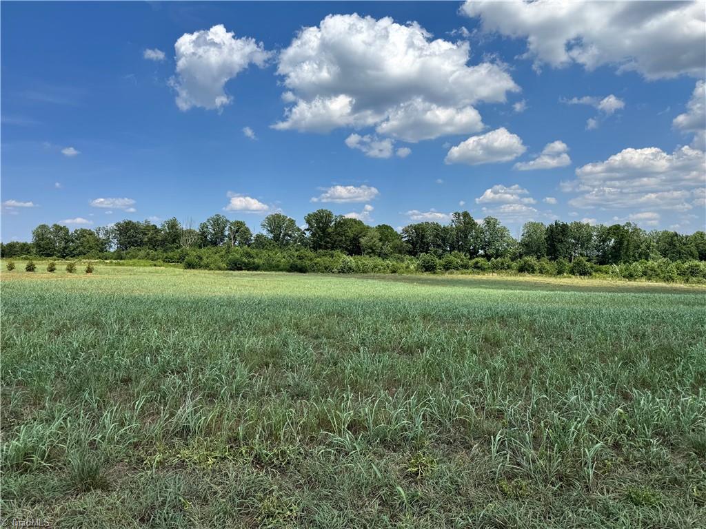 Lot #6 Sandy Springs Road Property Photo 6