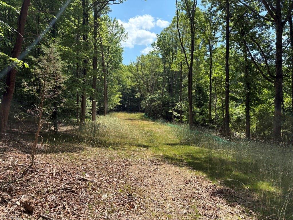 0 Cure Drive Property Photo 8