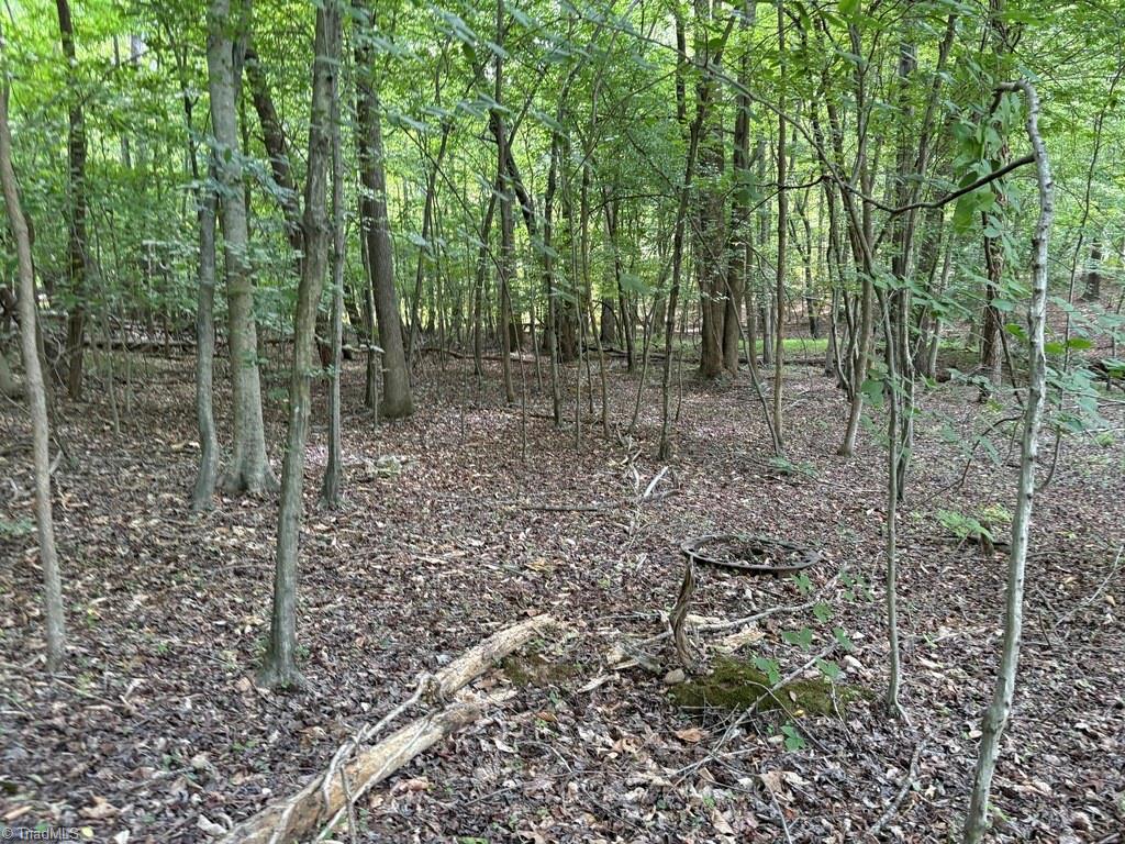 0 Cure Drive Property Photo 9