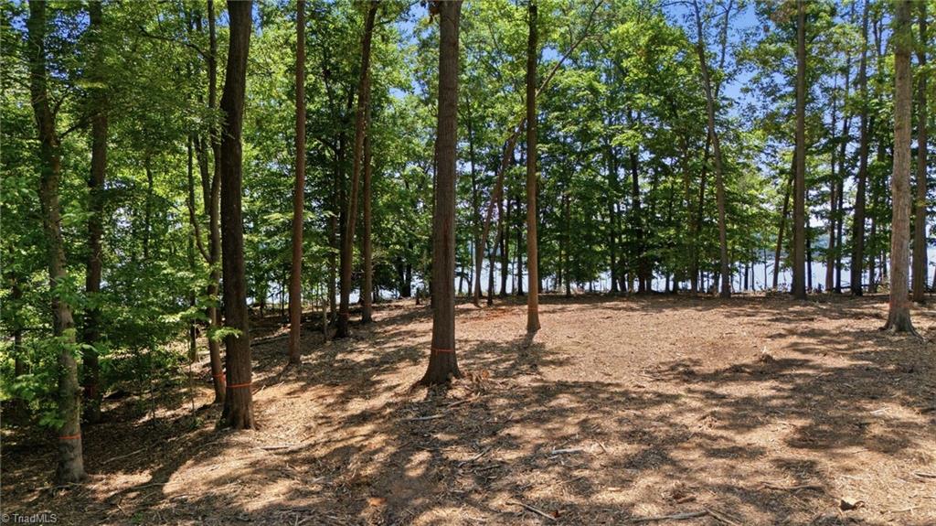 268 Kendricks Cove Property Photo 6