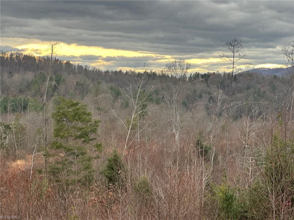 2001 Tom Dula Road Property Photo 14