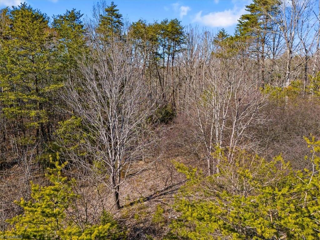 7350 Hidden View Drive Property Photo 13