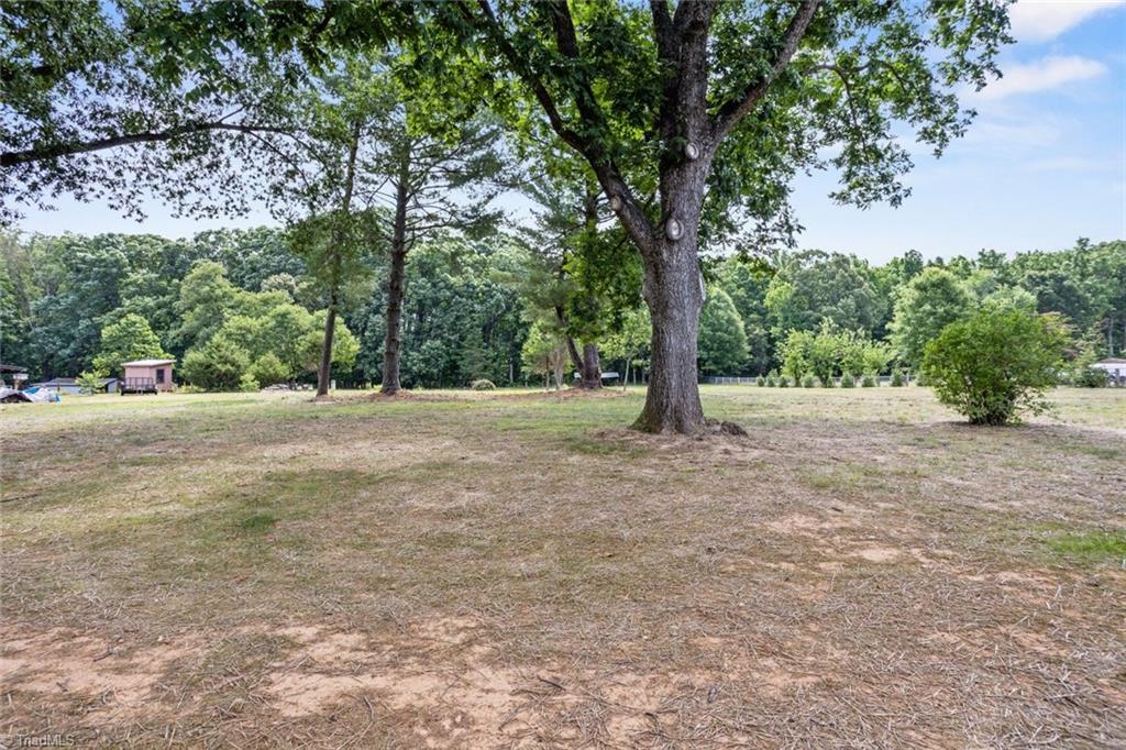9771 Woodruff Road Property Photo 3
